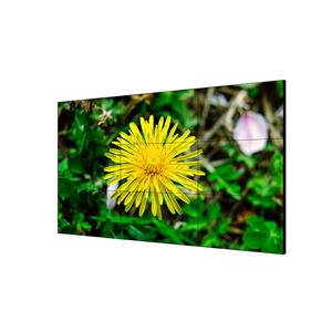 DS-D2055NL-B