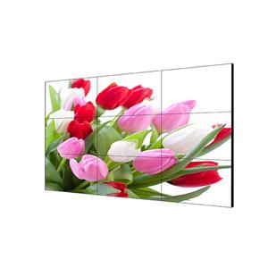 DS-D2055NL-B/G